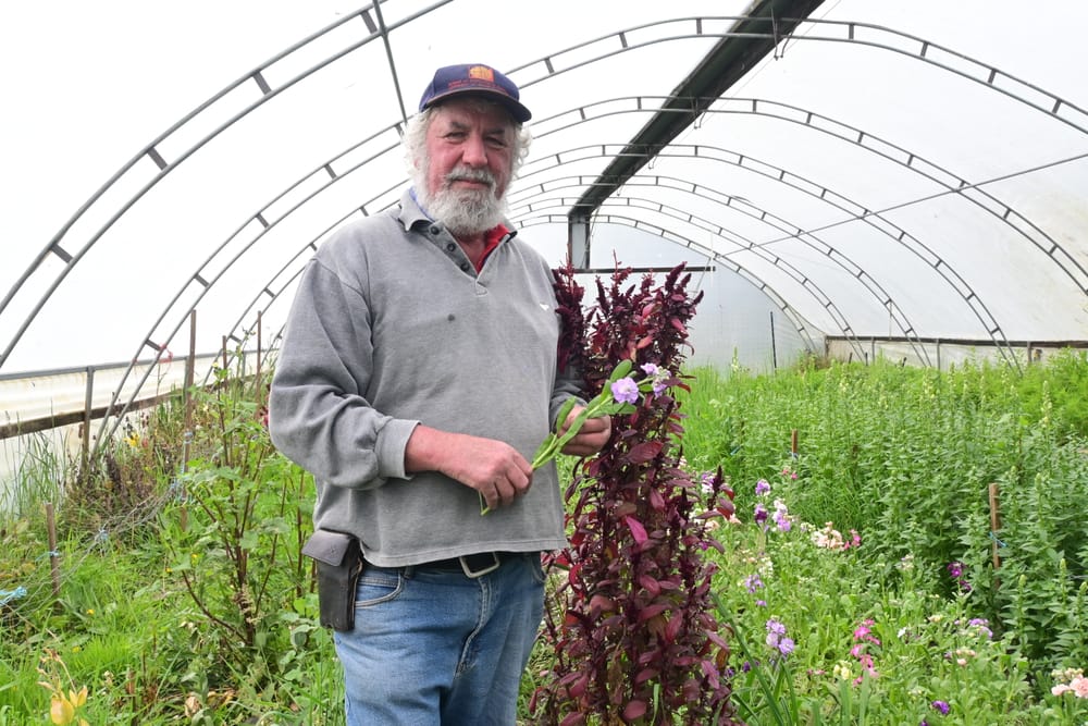 Cloudy winter weather affects local flower growth post image