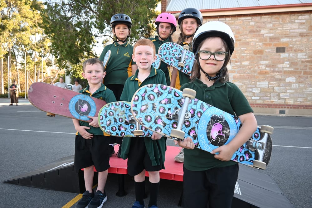 Wheels in motion for a skatepark post image