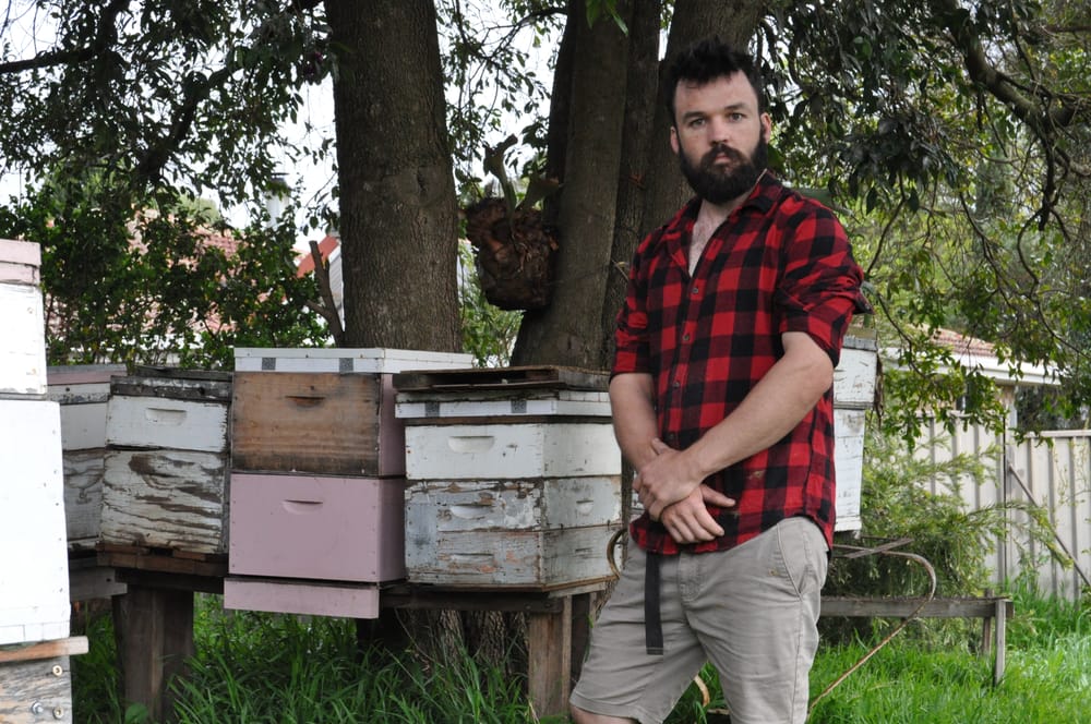 Mount Barker apiarist protecting local bees post image
