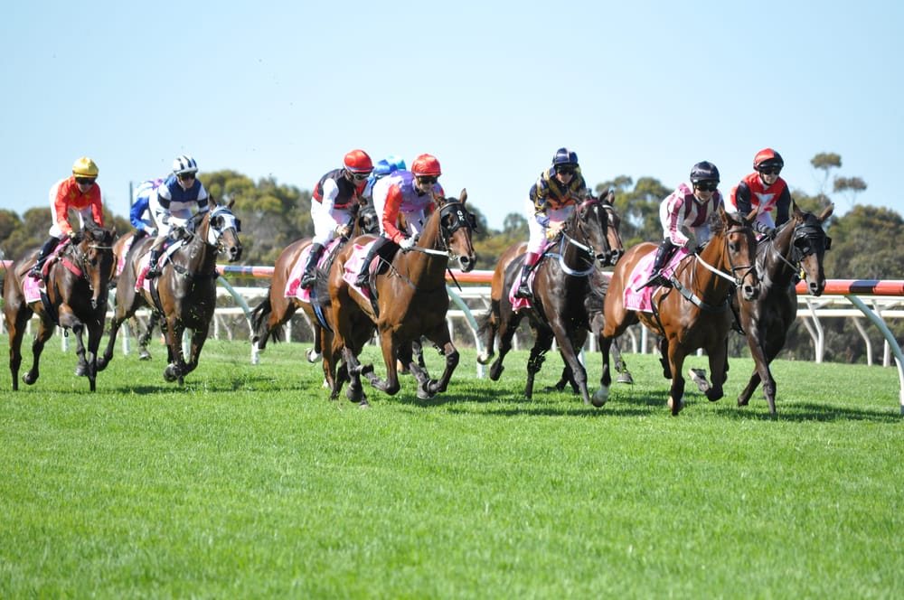 Strathalbyn Cup makes successful return post image
