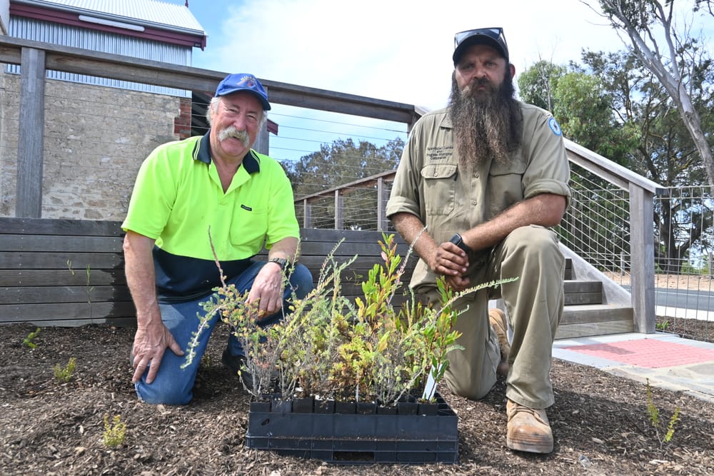 Planting day at Butter Factory post image