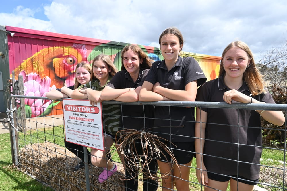 New Goolwa mural takes centre stage post image