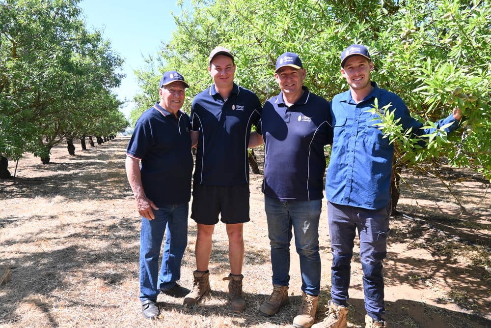 TIME TO GO NUTS: Almond harvest approaches post image