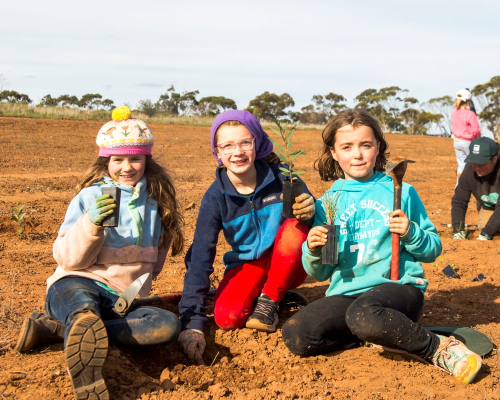 ‘Succesful’ planting festival at Monarto post image