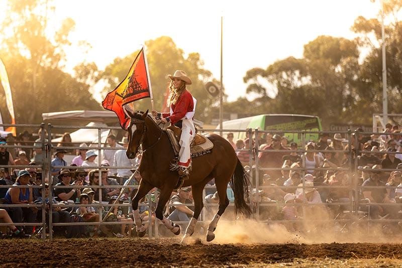 Saddling up for new royalty post image