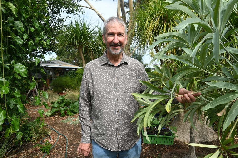 Sustainable garden connected to home post image