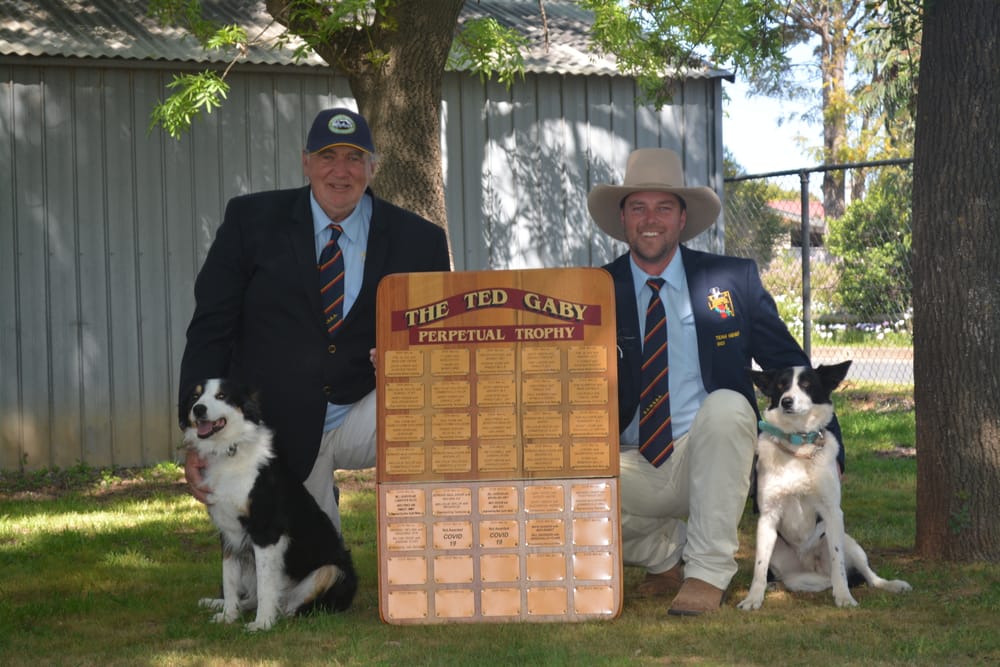 Pawsome success for Strathalbyn Sheepdog Trials post image