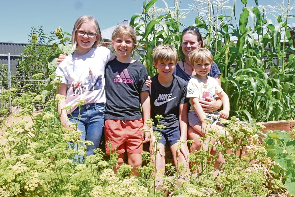 Your look into Strathalbyn's gardens post image