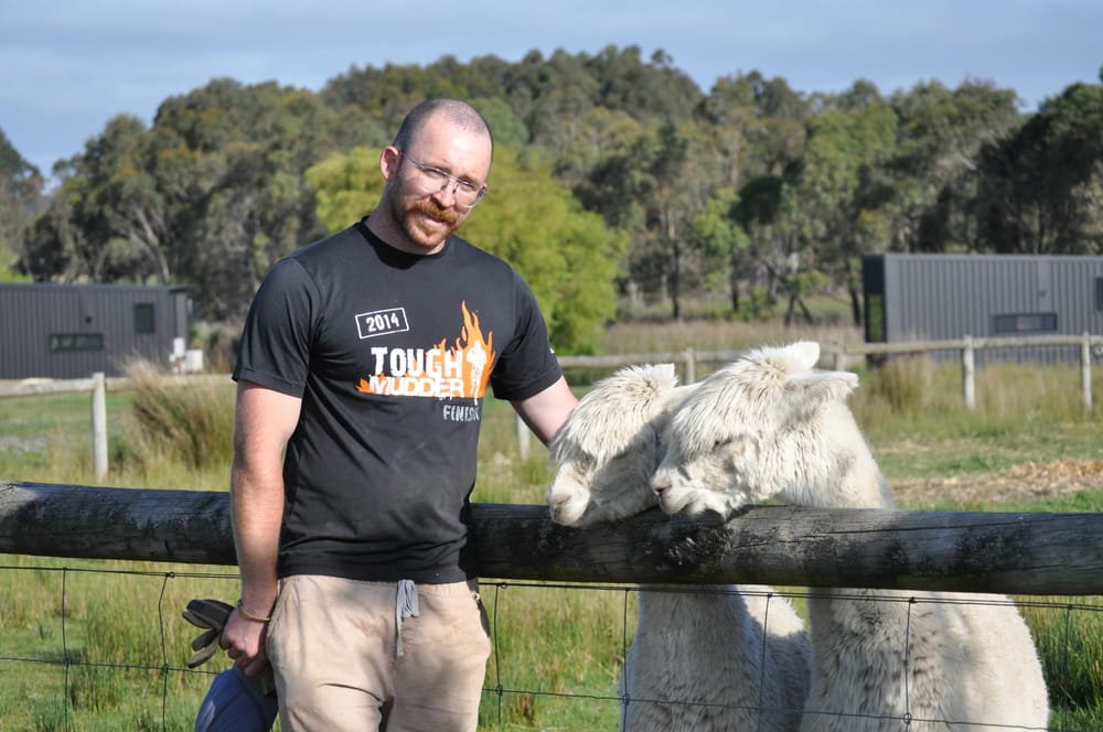 Alpacas make ‘great friends’ for local farmer post image