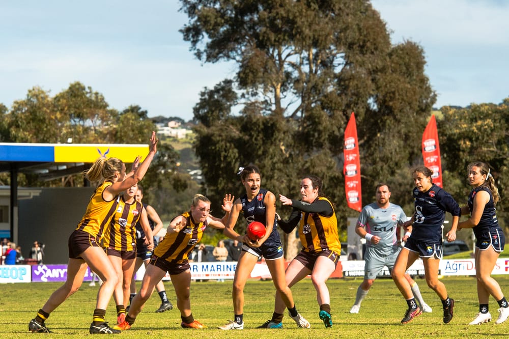 Southern Districts seeks Country Championships glory post image