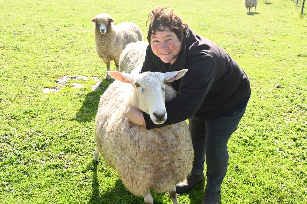 COUNTING SHEEP: Maccy farmer keeping it in the family post image
