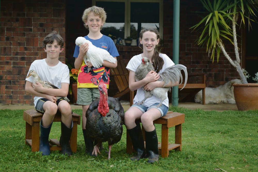Plenty to crow about at Adelaide Show post image