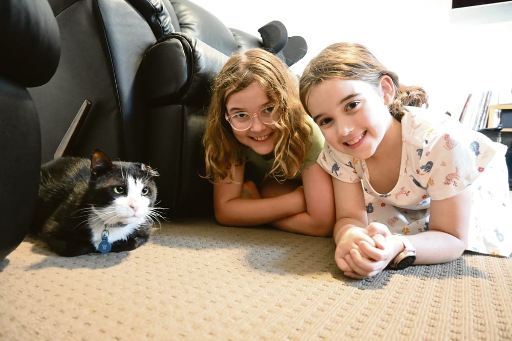 Call to adopt or foster a furry friend post image