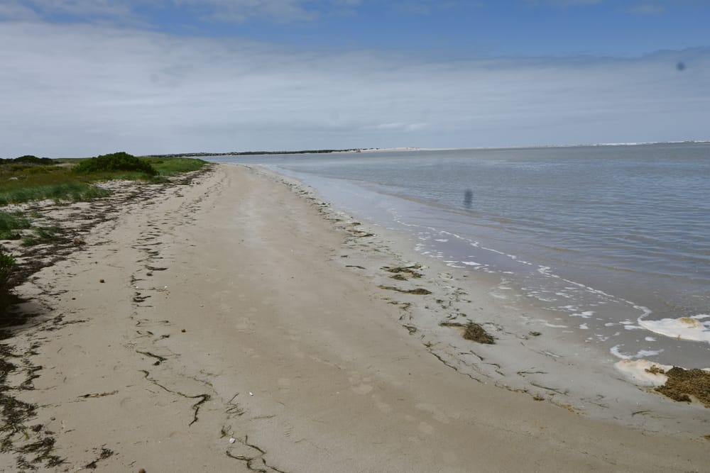 Call for caution along the coast over summer post image