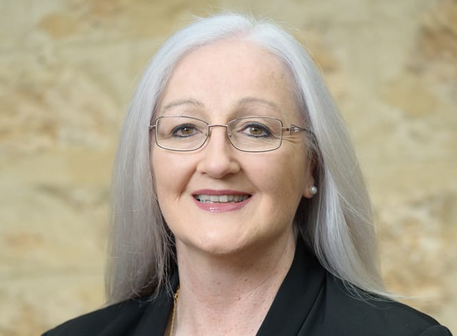Councillor looks to score AFL match post image