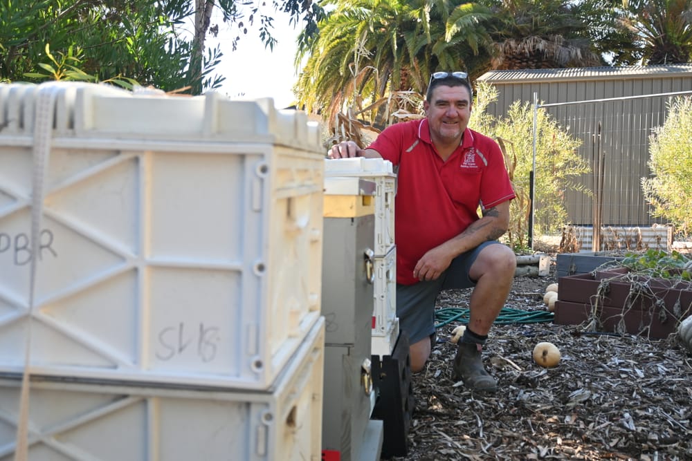 Honey, check this out post image