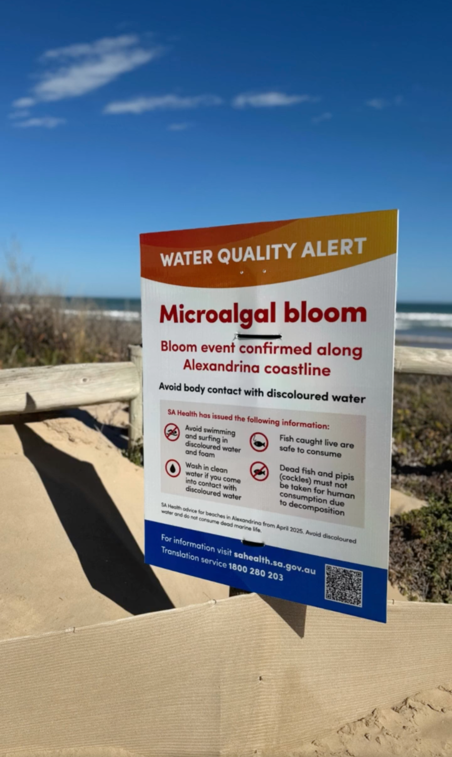 SEAING GREEN: Algae concerns spark a community forum... post image