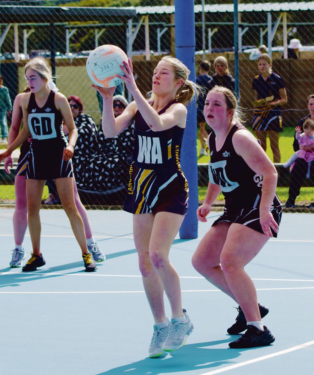 Strong juniors in local netball post image