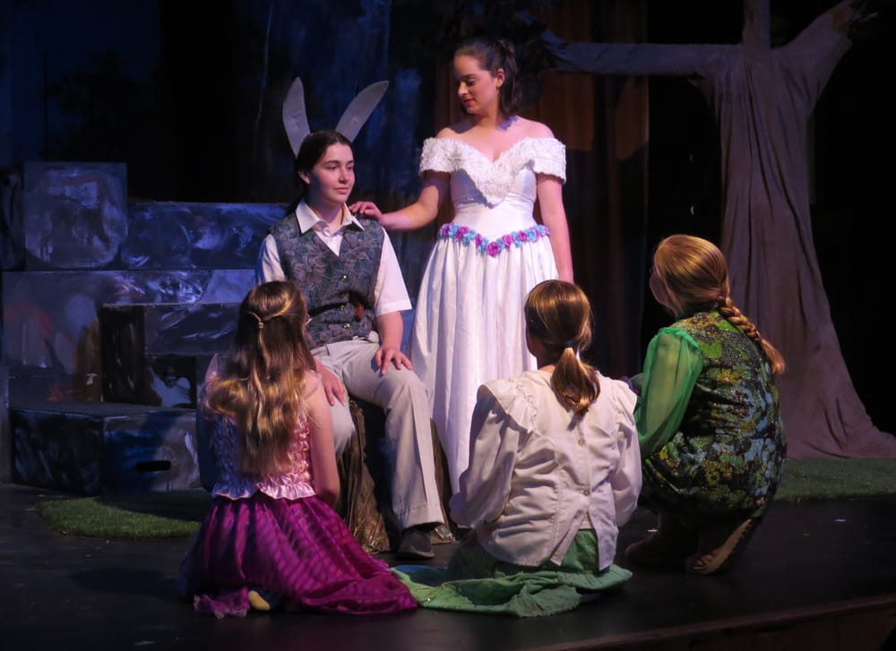 FAIRY-TALE: Shakespeare classic to take Strathalbyn stage post image