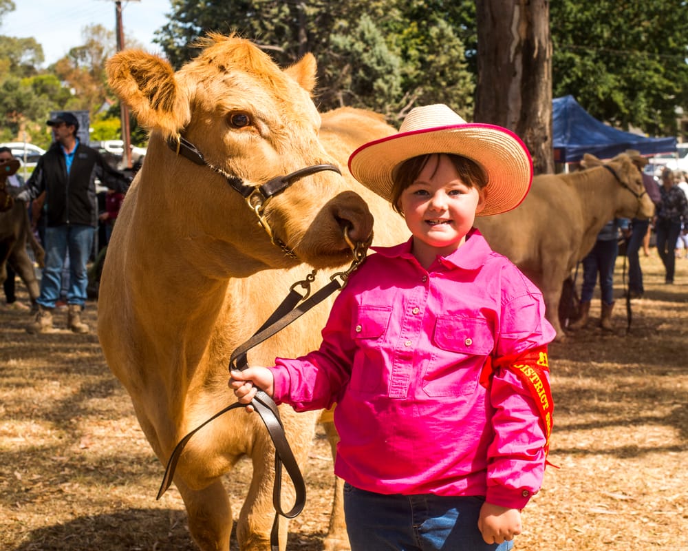 ‘Excellent’ family-friendly Mt Barker Show post image