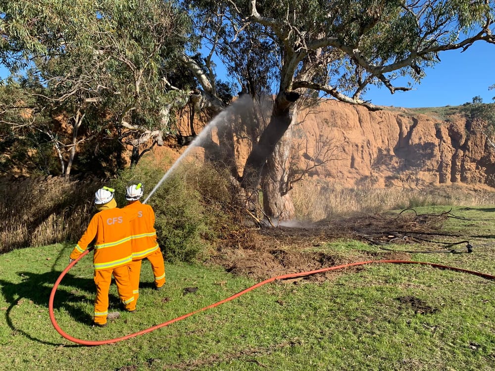 Tree fire at Willyaroo keeps local Country Fire Service volunteers busy post image
