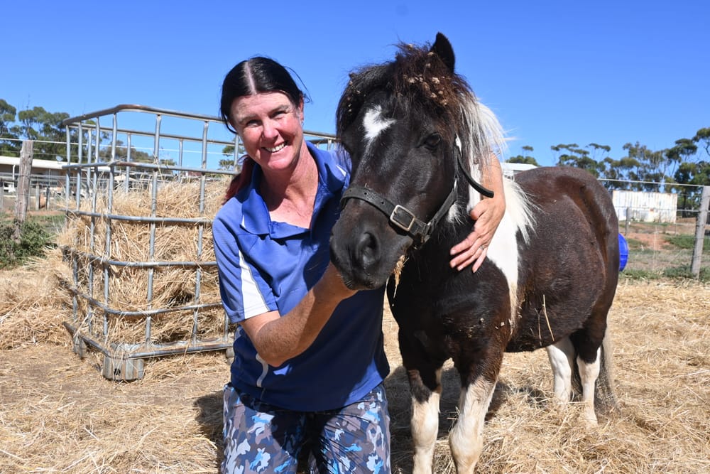 UN-STABLE: Cost-of-living hits local charity post image