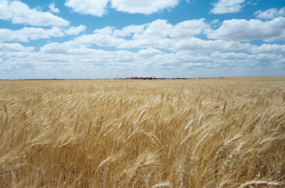 Grain Harvest Code of Practice remains unchanged post image