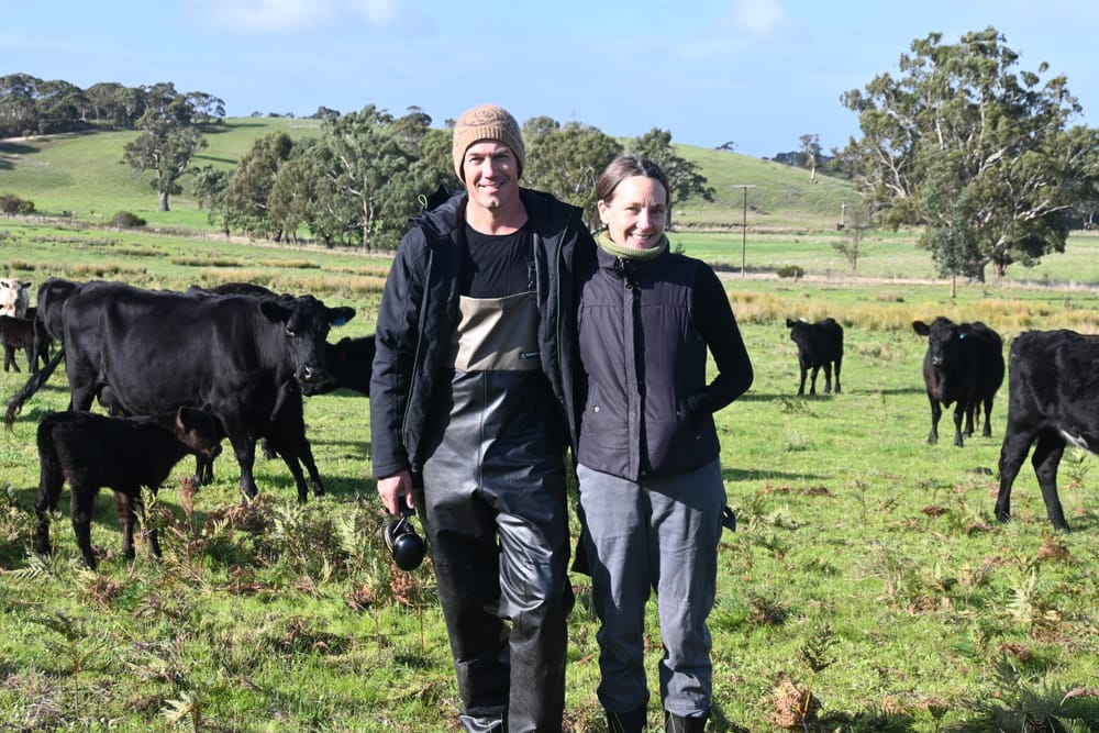 Finniss farm follows regenerative practices post image