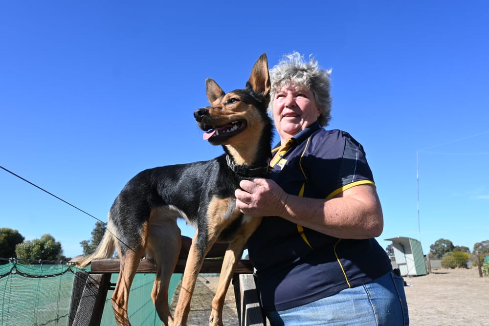 Event unleashes world of trialling post image