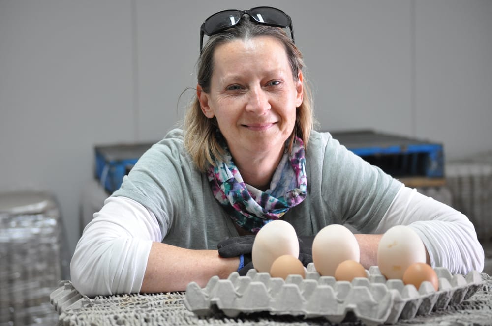 Egg-citement over giant find at a chicken farm near Milang post image
