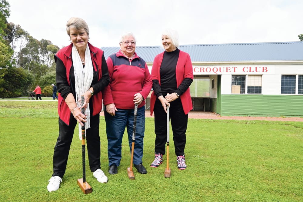 A SWING AND A HIT: Come and try croquet post image