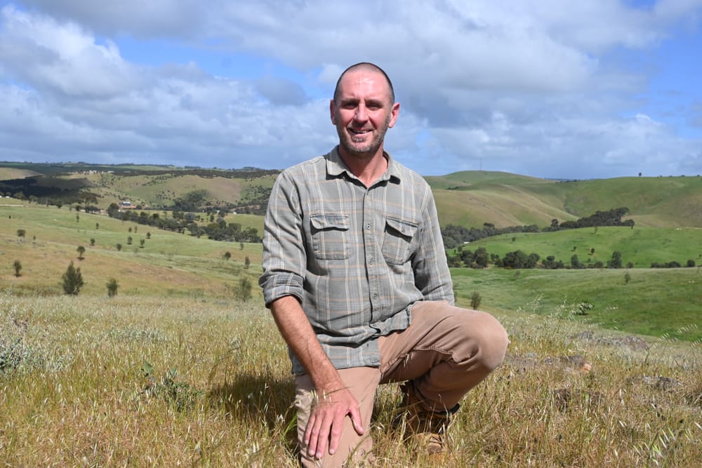 Grant helps revegetation across Kanmantoo post image