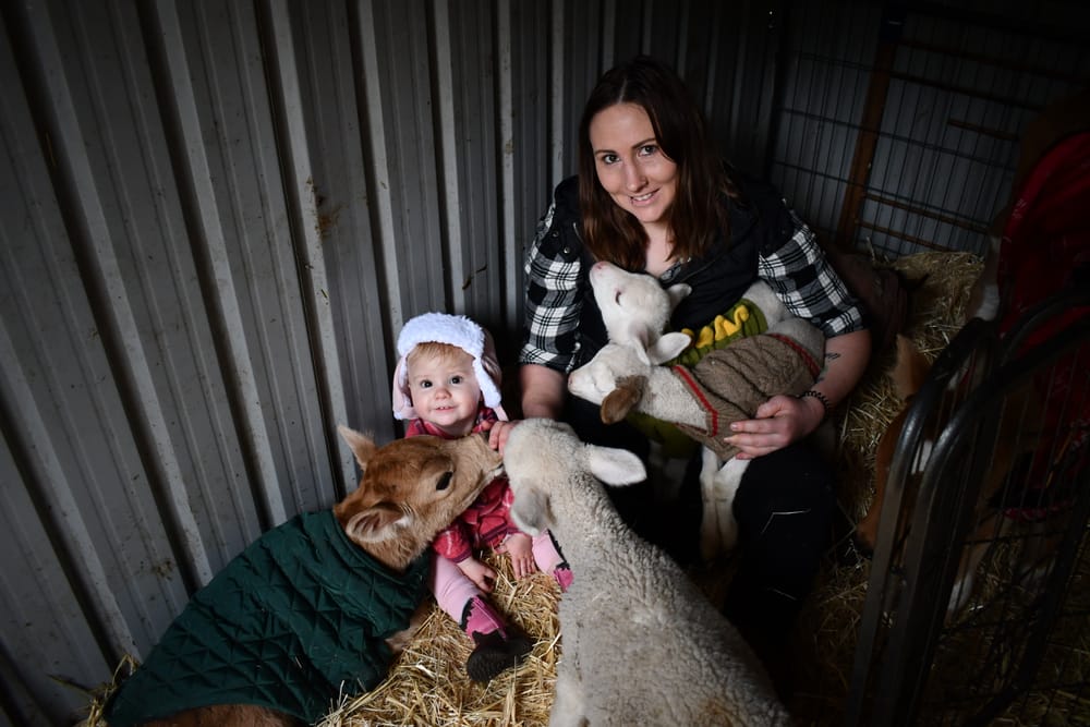 Meadows Farmer Darcy ‘Dolittle’ animals’ best friend post image