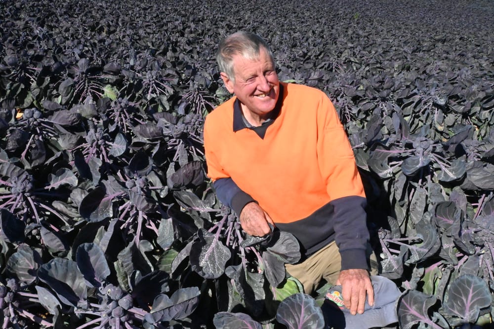 Mount Barker sprouts across the world post image