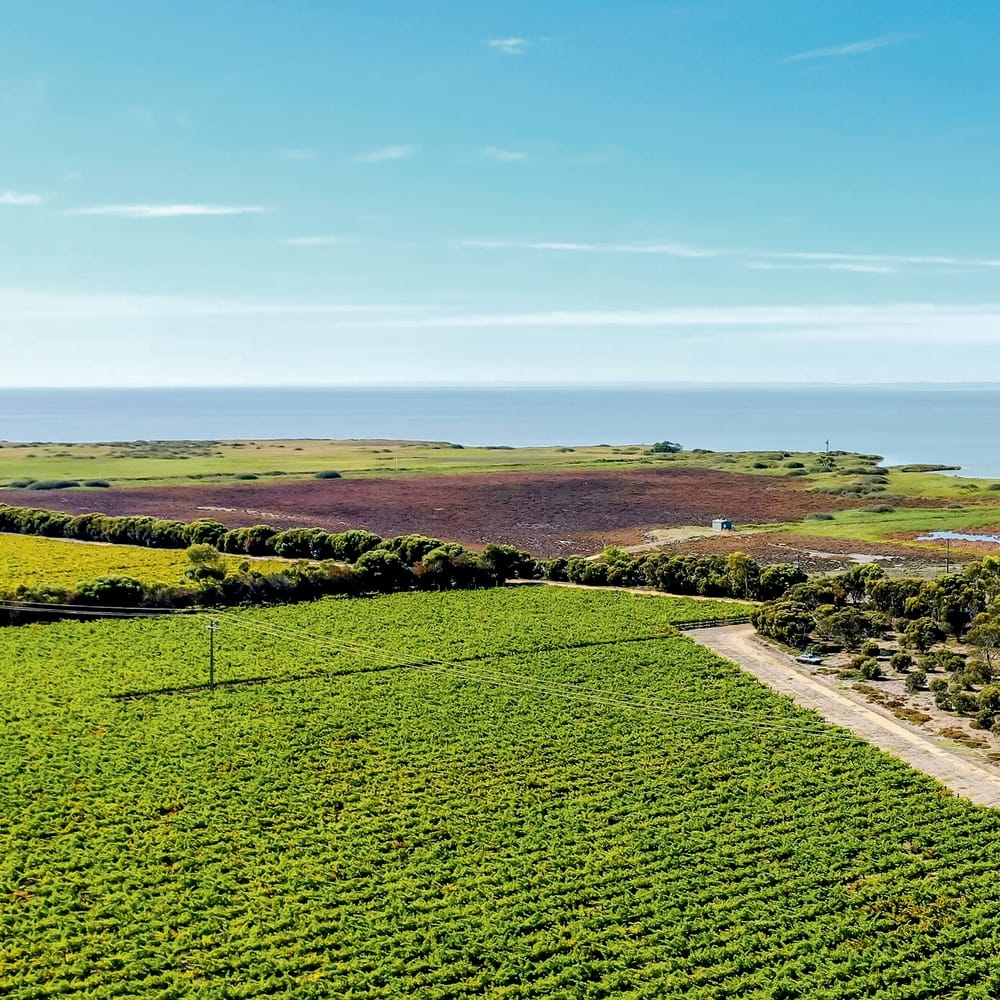 A grape opportunity for local students post image