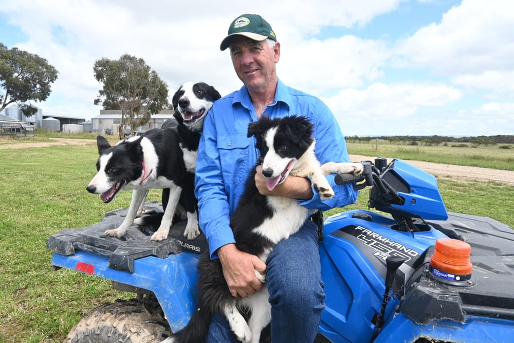 FOUR-LEGGED CHAMPIONS: Local trainer part of winning team in sheepdog competition post image