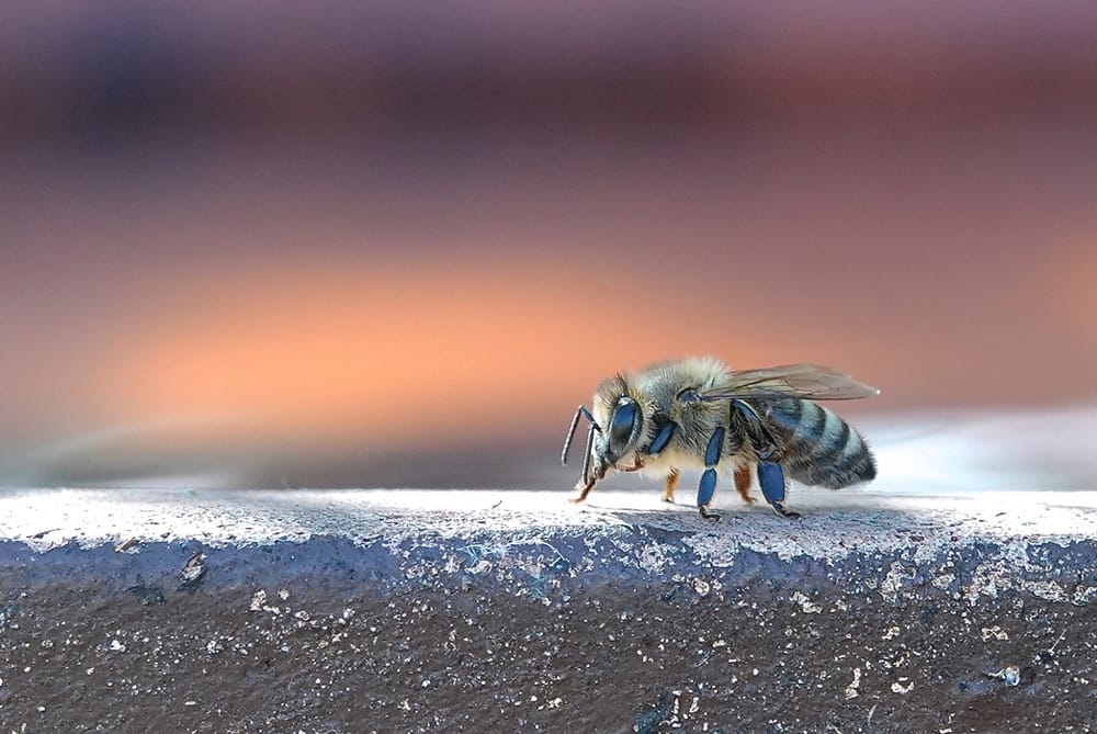 Stationmaster’s exhibition continues the Bleasdale Potts family photographic tradition post image