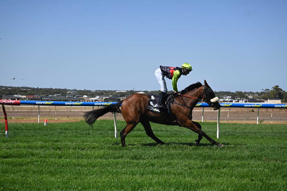 Local trainers win big at Publicans Race Day post image