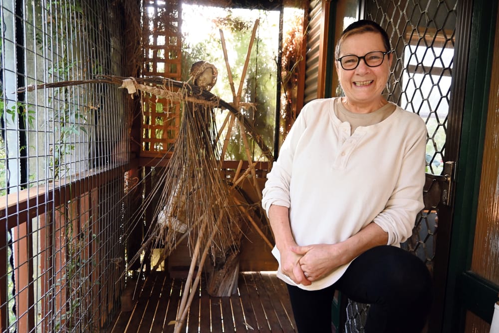 Macclesfield arts festival to paint the town post image