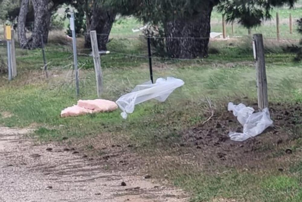 Strathalbyn couple call for clean-up along Adelaide Road post image