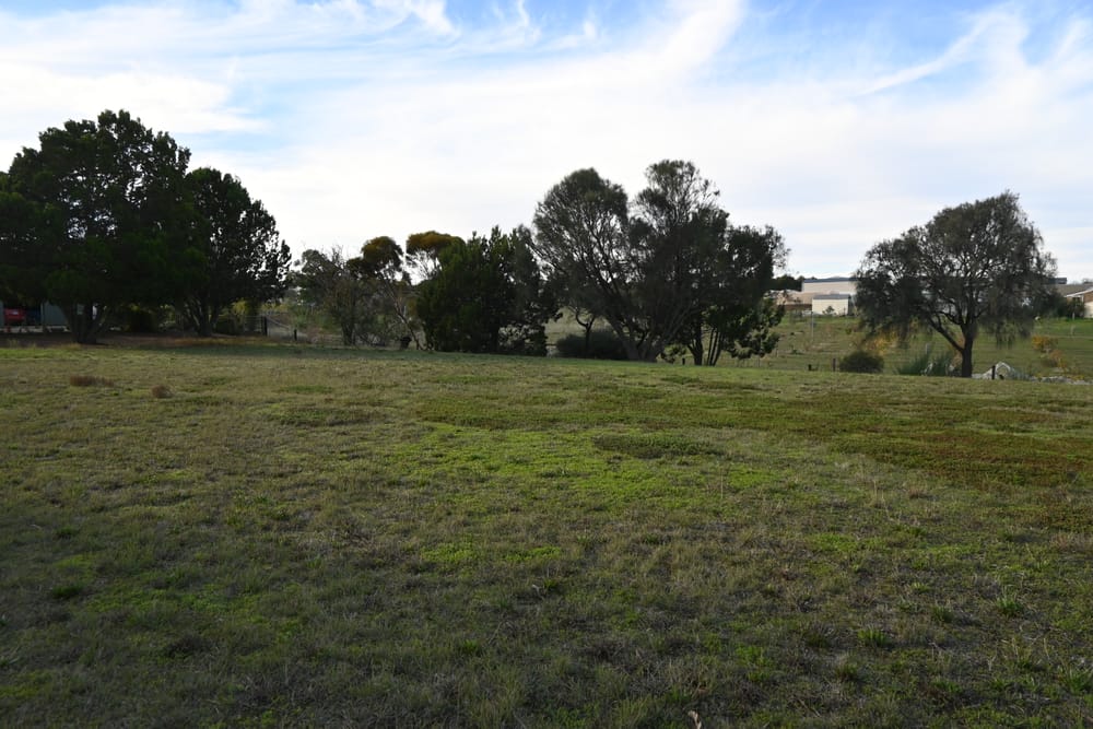 People power saves Strathalbyn reserves from potential sale post image