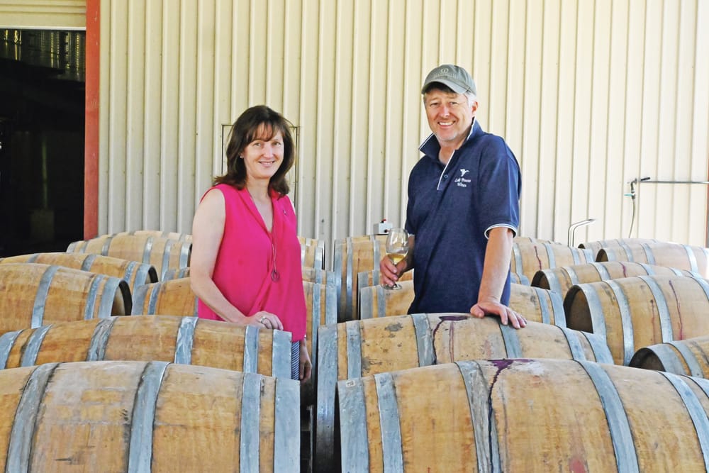 Breezy start to 2022 vintage for Langhorne Creek winemaking dynasty post image