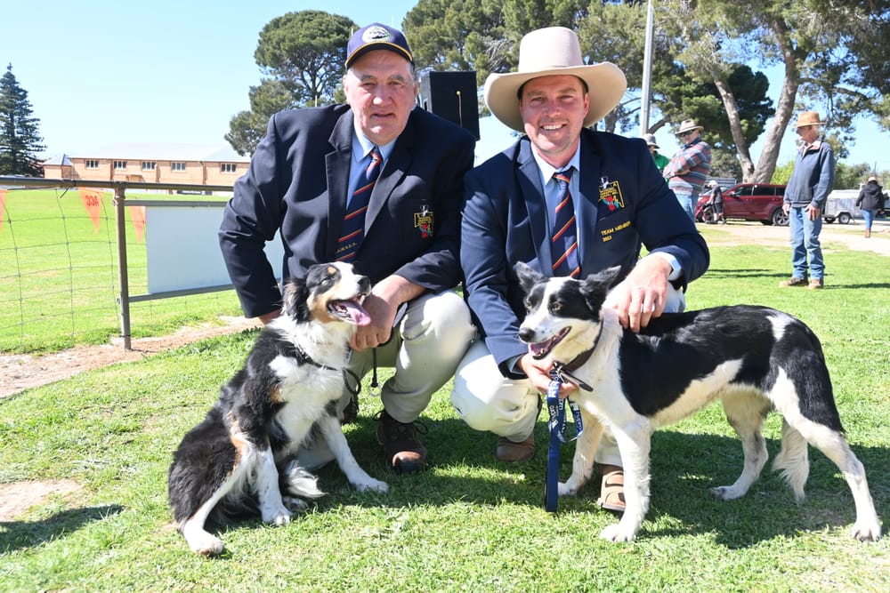 Sheep dog trials are unleashed post image
