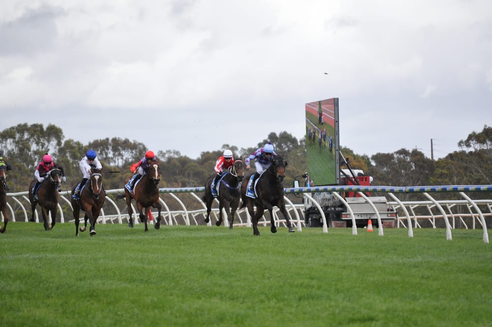 Vignerons Race Day delivers a treat post image