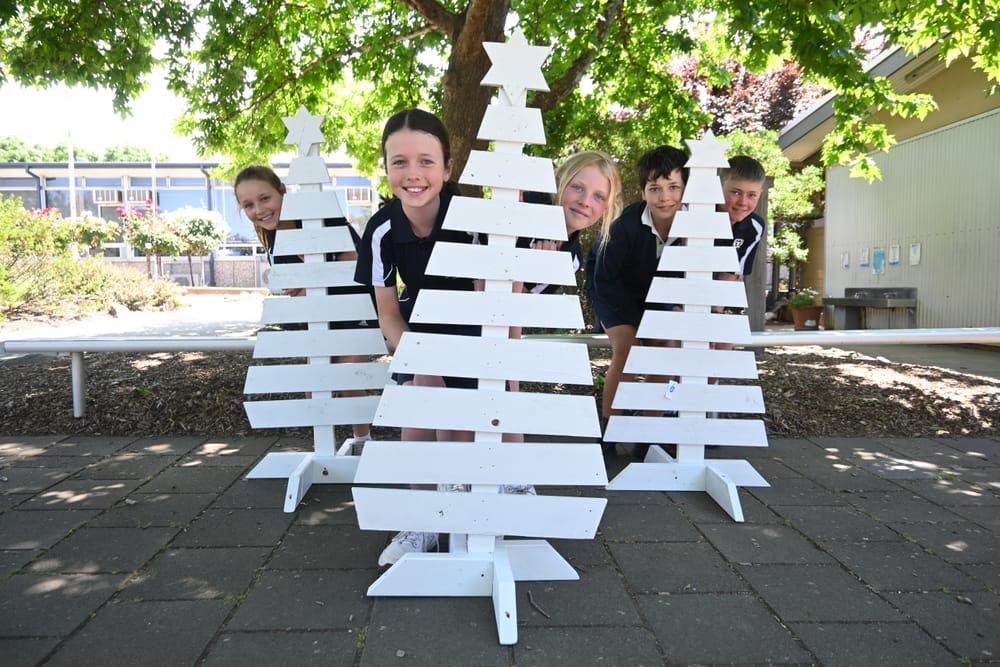 Rocking around the Christmas trees post image