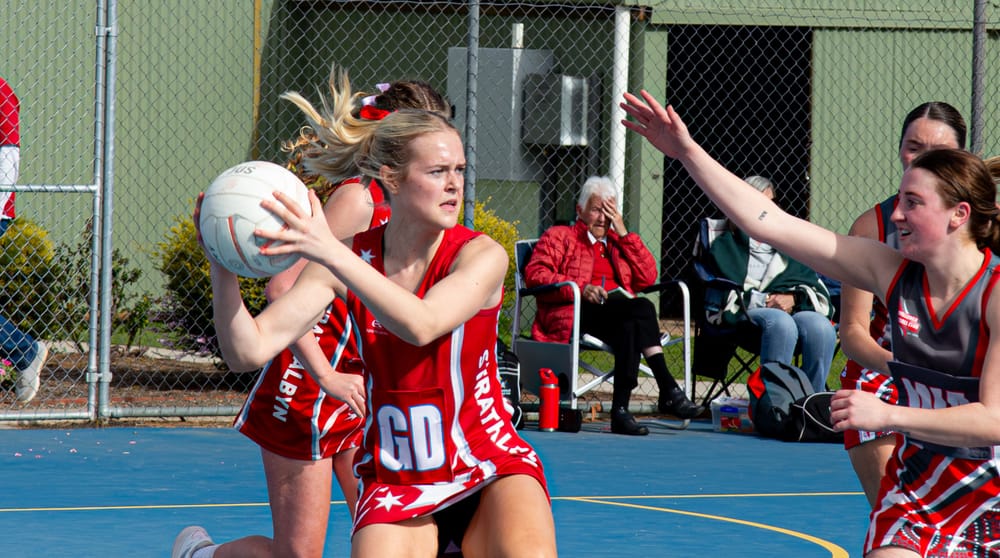 Penzy signs as a Panther post image