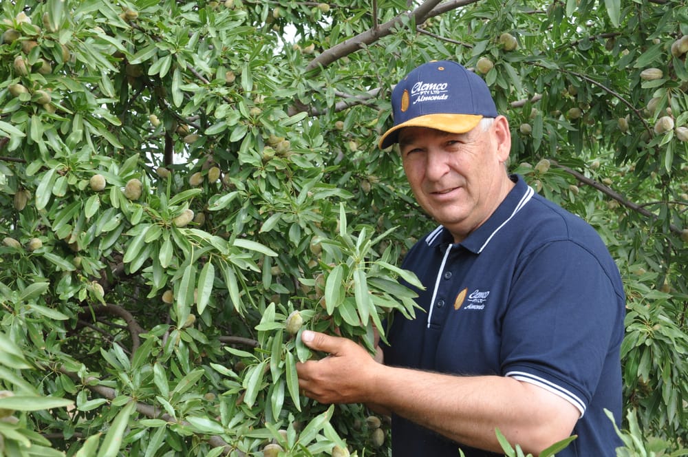 Nuts about almonds post image