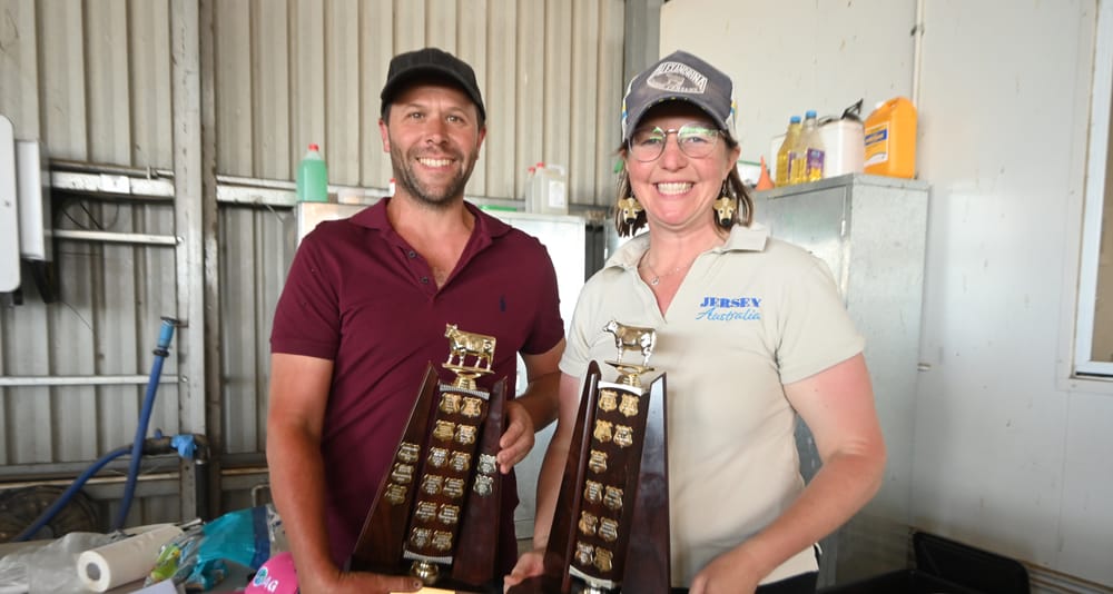 Jersey Club still milking it at 60 post image