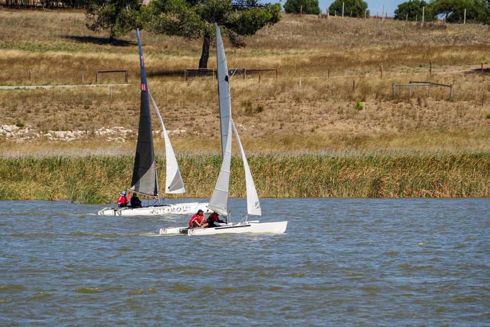 Challenging conditions for regatta weekend post image