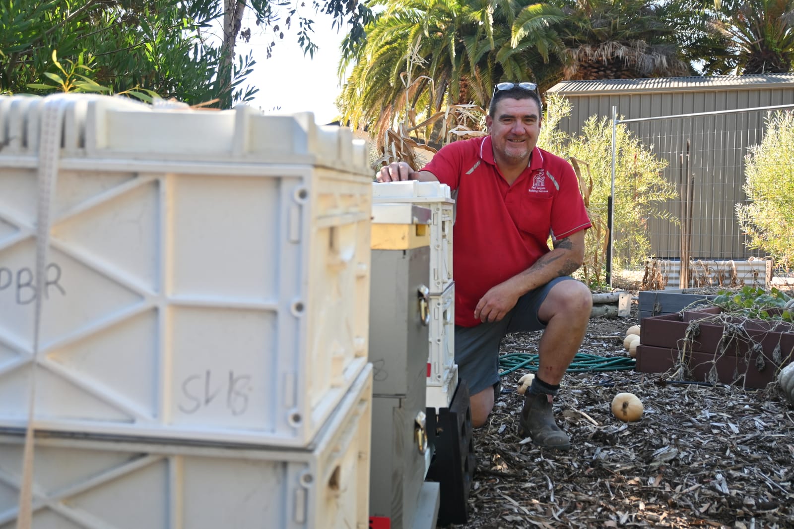 Honey, check this out post image